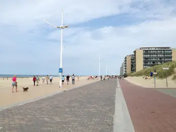 Kokzijde (Belgium)